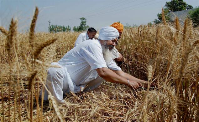 Punjab farmers crop burning